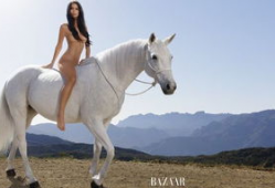 马麻豆,探寻神秘东方文化的瑰宝